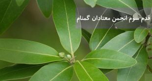 قدم سوم انجمن معتادان گمنام